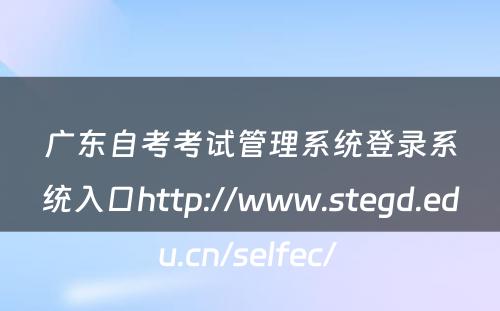 广东自考考试管理系统登录系统入口http://www.stegd.edu.cn/selfec/ 