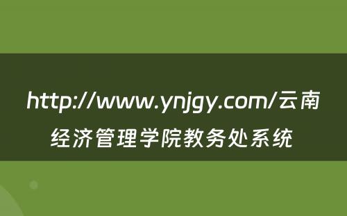 http://www.ynjgy.com/云南经济管理学院教务处系统 