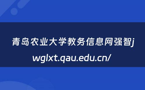 青岛农业大学教务信息网强智jwglxt.qau.edu.cn/ 