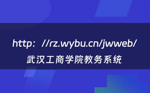 http：//rz.wybu.cn/jwweb/武汉工商学院教务系统 
