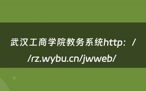 武汉工商学院教务系统http：//rz.wybu.cn/jwweb/ 