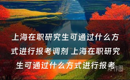 上海在职研究生可通过什么方式进行报考调剂 上海在职研究生可通过什么方式进行报考