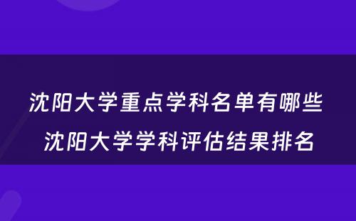 沈阳大学重点学科名单有哪些 沈阳大学学科评估结果排名