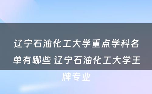 辽宁石油化工大学重点学科名单有哪些 辽宁石油化工大学王牌专业