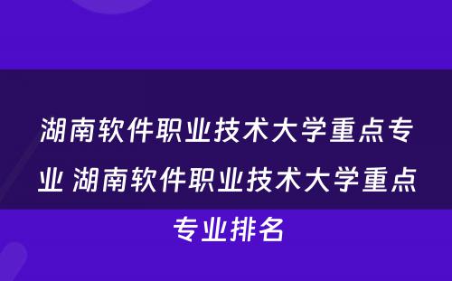 湖南软件职业技术大学重点专业 湖南软件职业技术大学重点专业排名