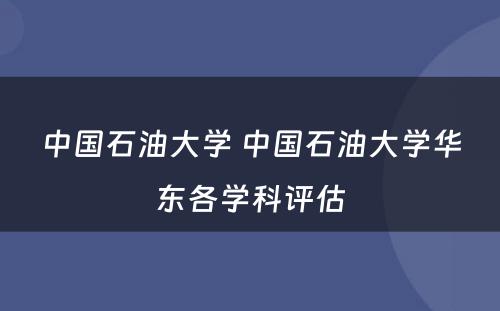 中国石油大学 中国石油大学华东各学科评估