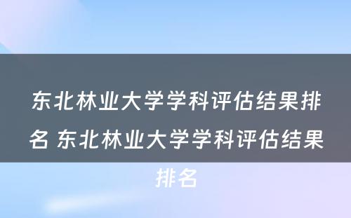 东北林业大学学科评估结果排名 东北林业大学学科评估结果排名