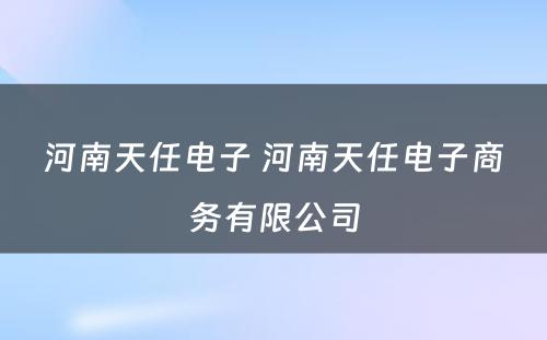 河南天任电子 河南天任电子商务有限公司