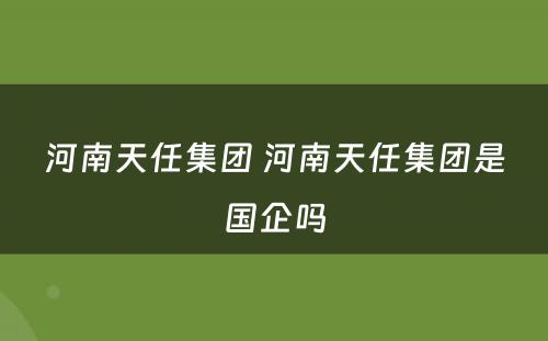 河南天任集团 河南天任集团是国企吗