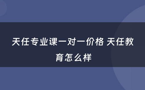 天任专业课一对一价格 天任教育怎么样