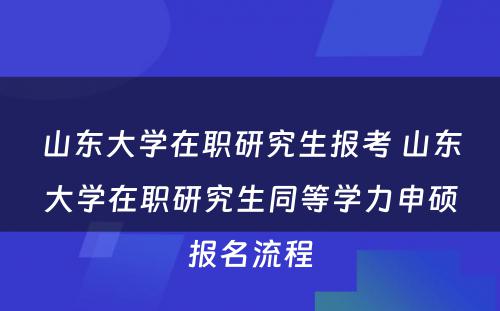 山东大学在职研究生报考 山东大学在职研究生同等学力申硕报名流程