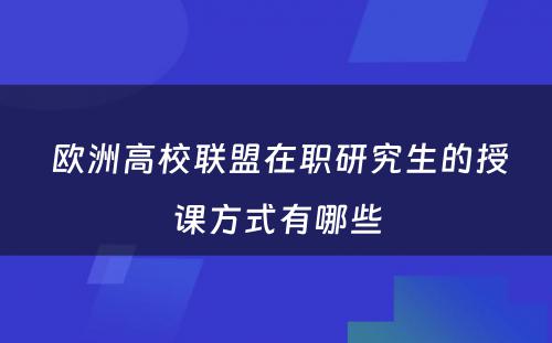  欧洲高校联盟在职研究生的授课方式有哪些