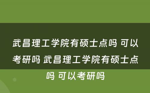 武昌理工学院有硕士点吗 可以考研吗 武昌理工学院有硕士点吗 可以考研吗