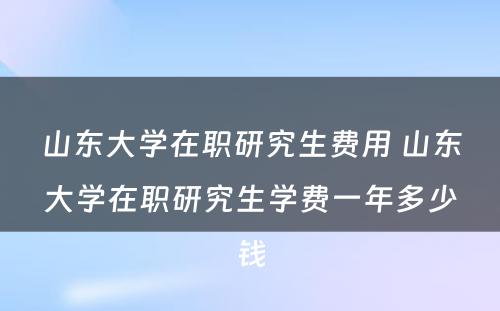 山东大学在职研究生费用 山东大学在职研究生学费一年多少钱