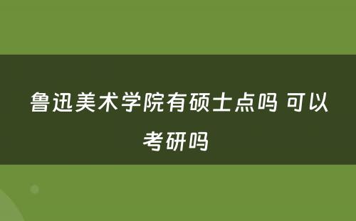 鲁迅美术学院有硕士点吗 可以考研吗 