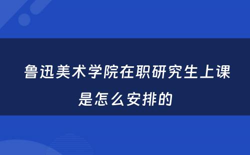  鲁迅美术学院在职研究生上课是怎么安排的