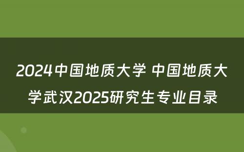 2024中国地质大学 中国地质大学武汉2025研究生专业目录