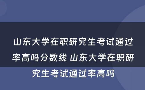 山东大学在职研究生考试通过率高吗分数线 山东大学在职研究生考试通过率高吗