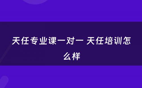 天任专业课一对一 天任培训怎么样