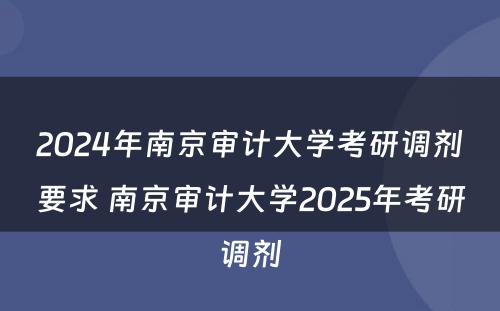 2024年南京审计大学考研调剂要求 南京审计大学2025年考研调剂