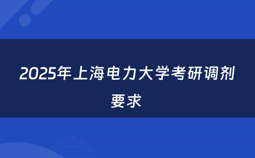 2025年上海电力大学考研调剂要求 