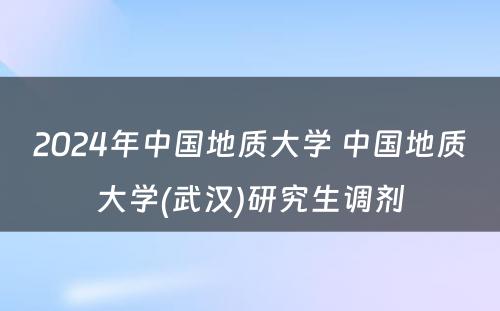 2024年中国地质大学 中国地质大学(武汉)研究生调剂