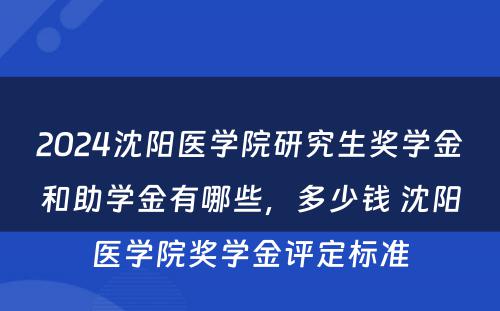 2024沈阳医学院研究生奖学金和助学金有哪些，多少钱 沈阳医学院奖学金评定标准