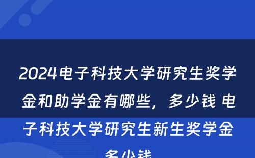 2024电子科技大学研究生奖学金和助学金有哪些，多少钱 电子科技大学研究生新生奖学金多少钱