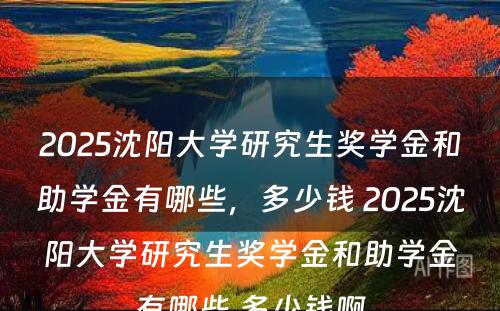 2025沈阳大学研究生奖学金和助学金有哪些，多少钱 2025沈阳大学研究生奖学金和助学金有哪些,多少钱啊