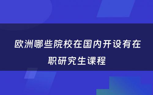  欧洲哪些院校在国内开设有在职研究生课程