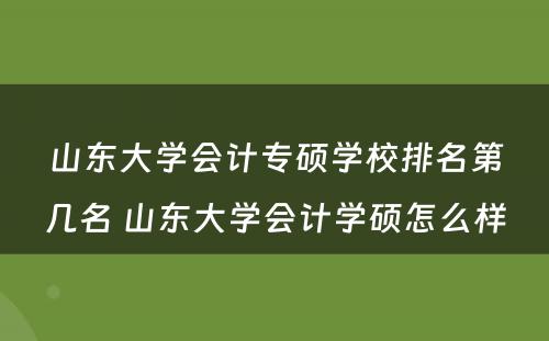 山东大学会计专硕学校排名第几名 山东大学会计学硕怎么样