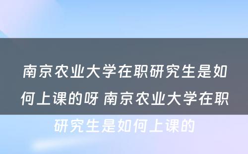 南京农业大学在职研究生是如何上课的呀 南京农业大学在职研究生是如何上课的