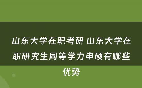 山东大学在职考研 山东大学在职研究生同等学力申硕有哪些优势