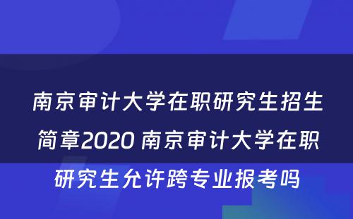 南京审计大学在职研究生招生简章2020 南京审计大学在职研究生允许跨专业报考吗