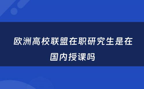  欧洲高校联盟在职研究生是在国内授课吗