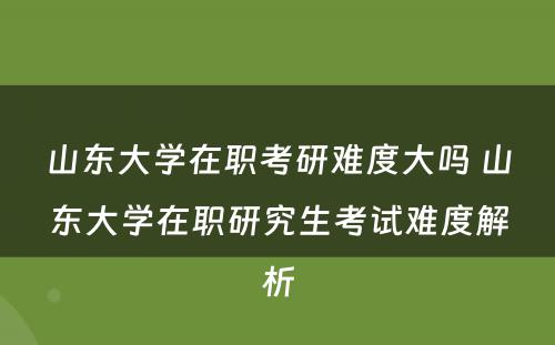 山东大学在职考研难度大吗 山东大学在职研究生考试难度解析