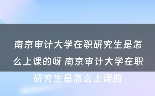 南京审计大学在职研究生是怎么上课的呀 南京审计大学在职研究生是怎么上课的