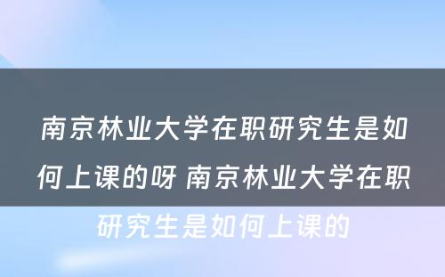 南京林业大学在职研究生是如何上课的呀 南京林业大学在职研究生是如何上课的