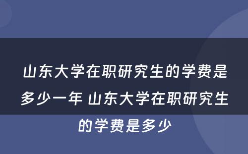 山东大学在职研究生的学费是多少一年 山东大学在职研究生的学费是多少