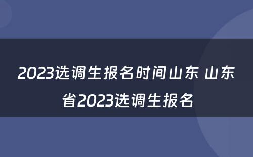 2023选调生报名时间山东 山东省2023选调生报名