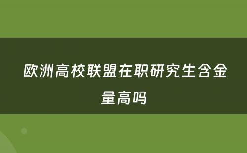  欧洲高校联盟在职研究生含金量高吗