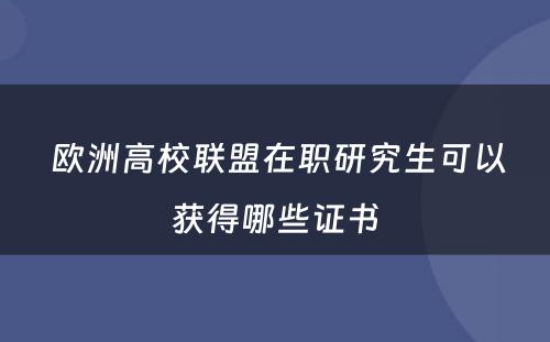  欧洲高校联盟在职研究生可以获得哪些证书