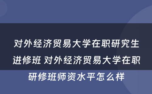 对外经济贸易大学在职研究生进修班 对外经济贸易大学在职研修班师资水平怎么样