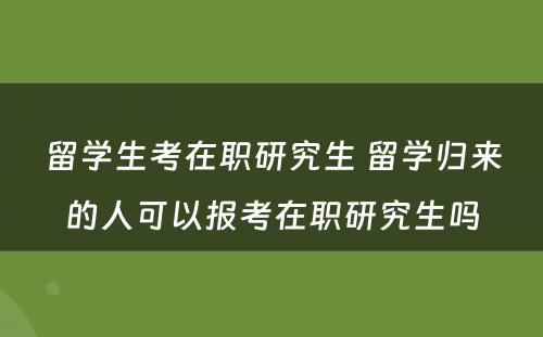 留学生考在职研究生 留学归来的人可以报考在职研究生吗