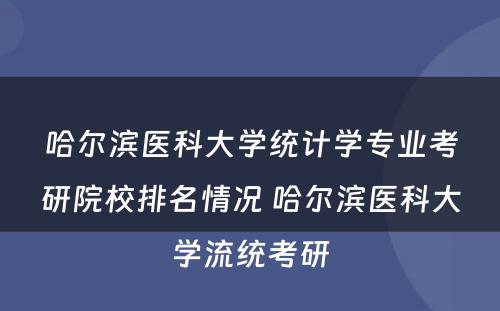 哈尔滨医科大学统计学专业考研院校排名情况 哈尔滨医科大学流统考研