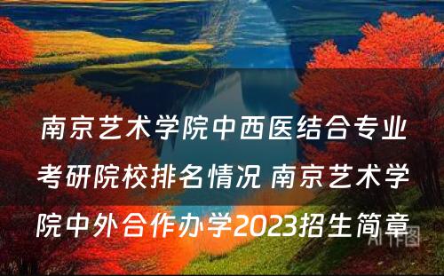南京艺术学院中西医结合专业考研院校排名情况 南京艺术学院中外合作办学2023招生简章