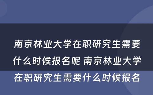 南京林业大学在职研究生需要什么时候报名呢 南京林业大学在职研究生需要什么时候报名