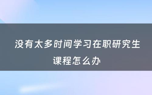  没有太多时间学习在职研究生课程怎么办