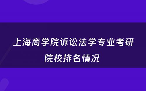上海商学院诉讼法学专业考研院校排名情况 