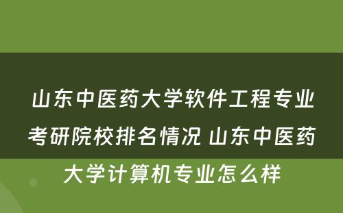 山东中医药大学软件工程专业考研院校排名情况 山东中医药大学计算机专业怎么样